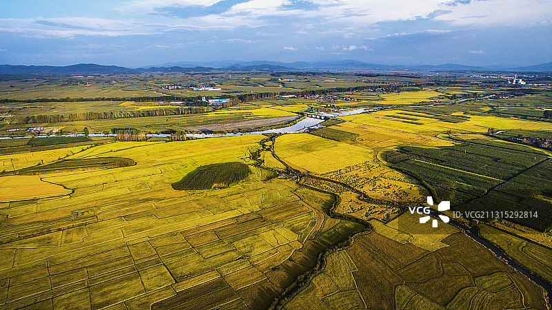 拉法山下的稻田图片素材