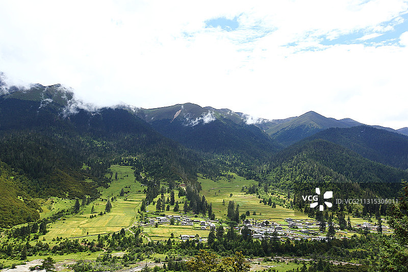 鲁朗林海图片素材