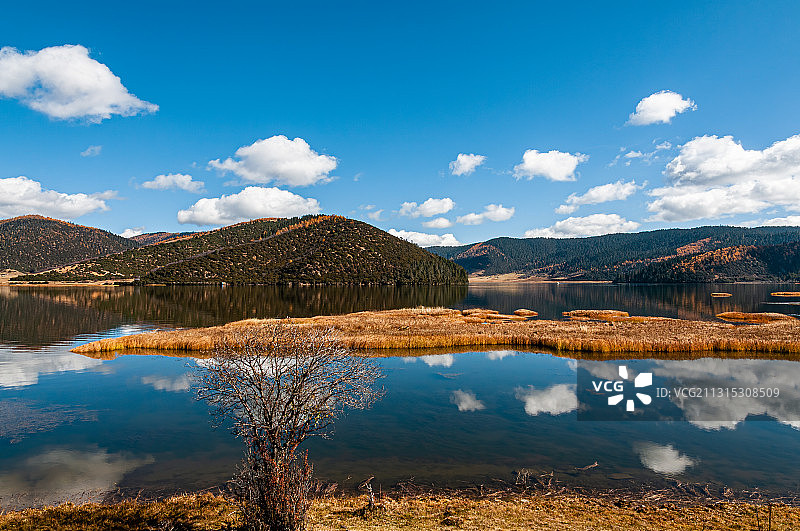 云南香格里拉普达措国家公园属都湖蓝天白云下的秋色图片素材