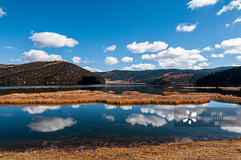 云南香格里拉普达措国家公园属都湖蓝天白云下的秋色图片素材