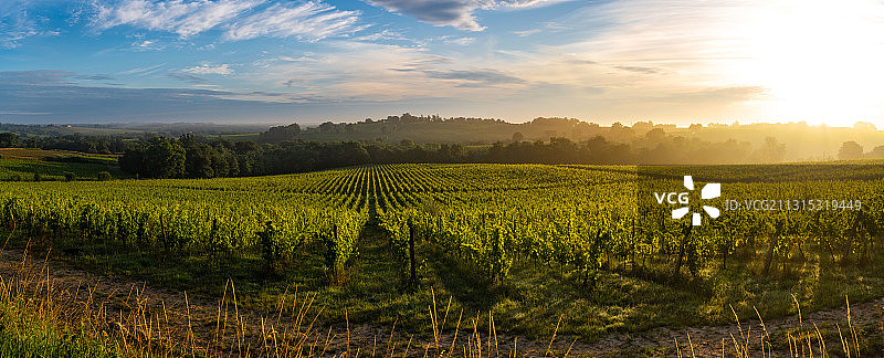 日落时分天空映衬下的农田风景图片素材