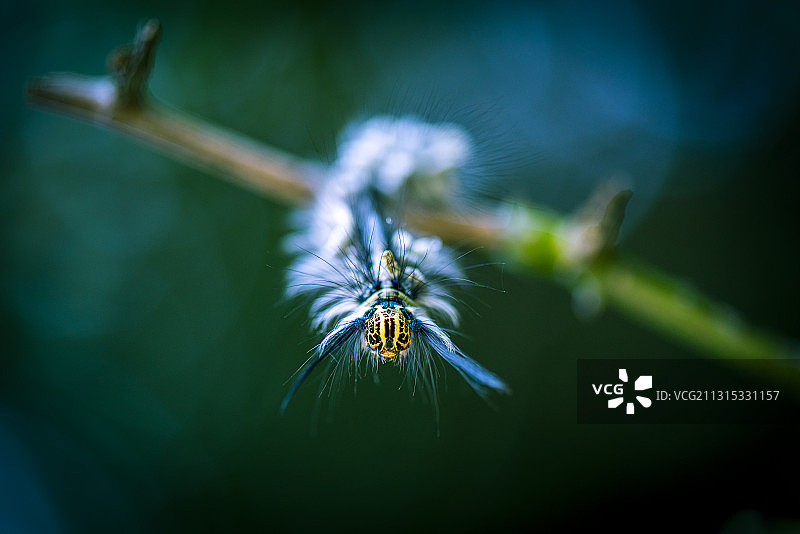 潮流发型图片素材