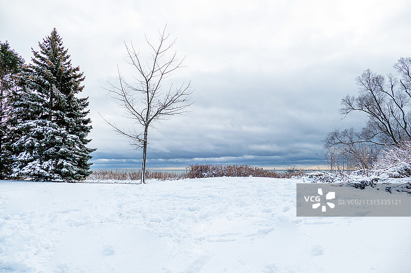 加拿大多伦多阿贾克斯白雪覆盖的田野上的树木与天空图片素材