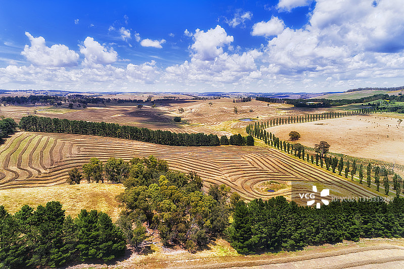 澳大利亚新南威尔士州奥伯伦农业景观图片素材
