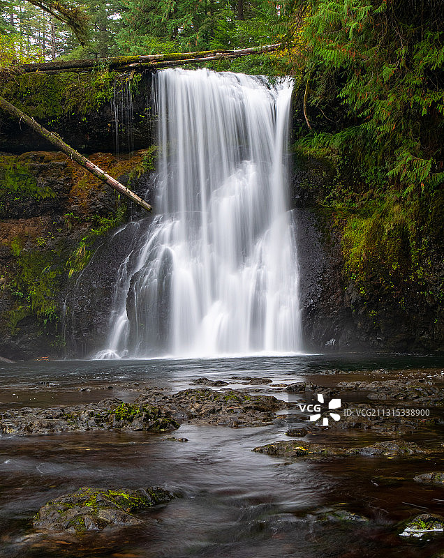 美国银瀑州立公园森林瀑布风景图片素材