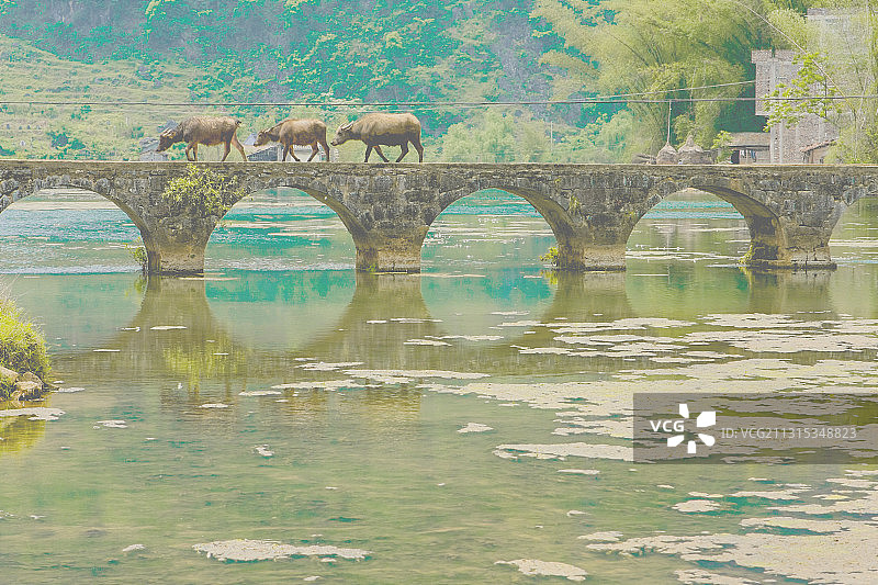 广西百色靖西鹅泉田园牧歌风图片素材
