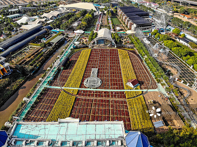 航拍百万葵园图片素材