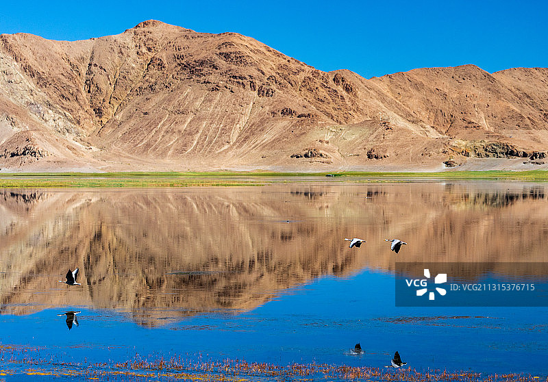 美丽的班公错图片素材