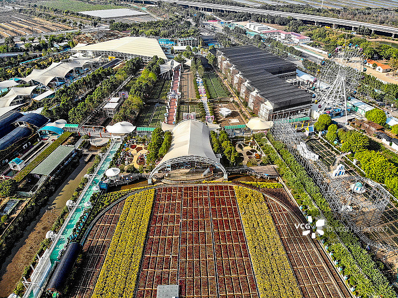 百万葵园航拍图片素材