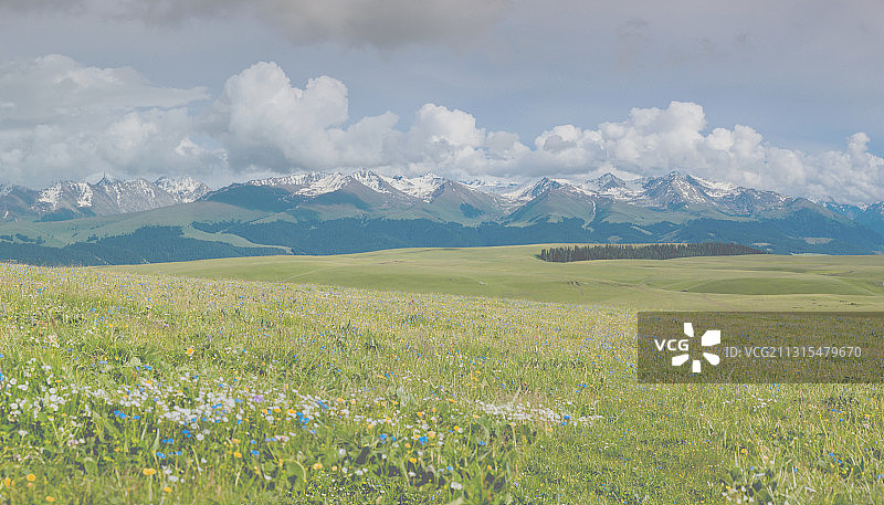 新疆伊犁特克斯喀拉峻草原图片素材
