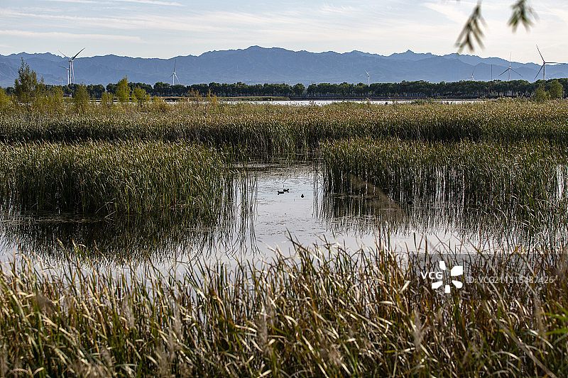 北京延庆野鸭湖国家湿地公园图片素材