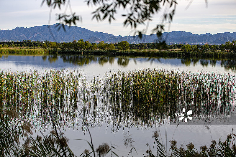 北京延庆野鸭湖国家湿地公园图片素材