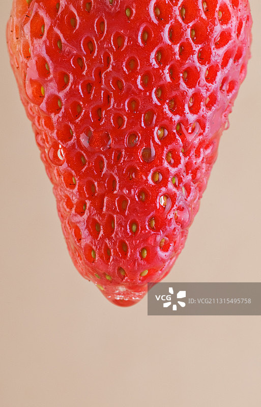 草莓图片素材