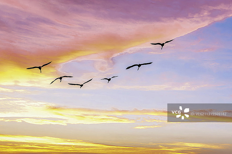 河南三门峡彩云中飞翔的鸟图片素材