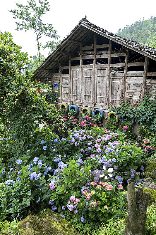 老房子花园图片素材