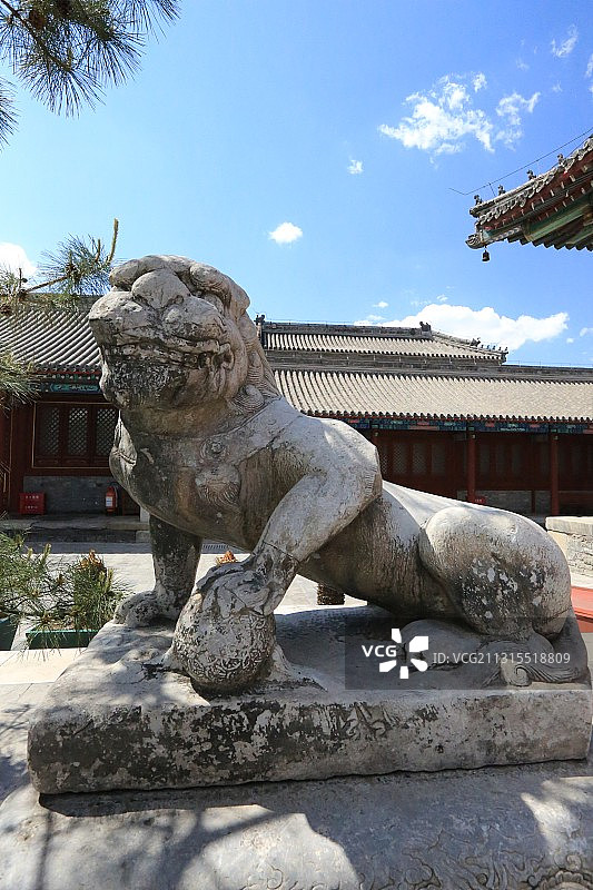 北京市西城区白塔寺（妙应寺）大觉宝殿前元代石狮图片素材