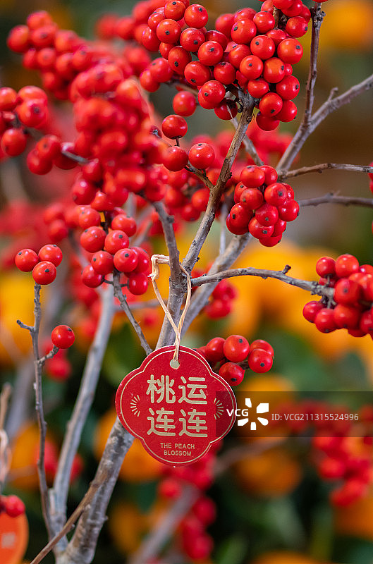 春节快到了，年味越来越浓了，灯笼挂起来了，花市热闹起来了图片素材