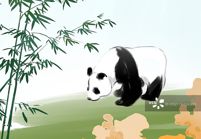 国宝四川大熊猫栖息地图片素材