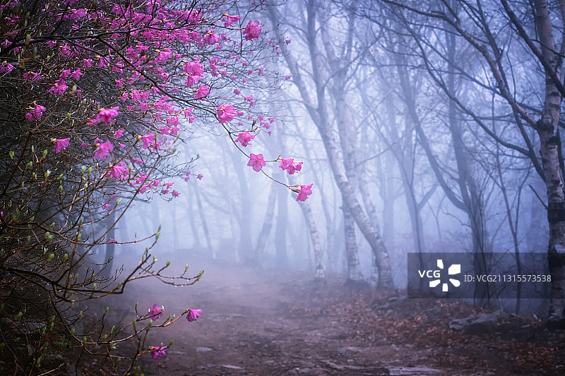 中国河北秦皇岛祖山春季自然风光图片素材