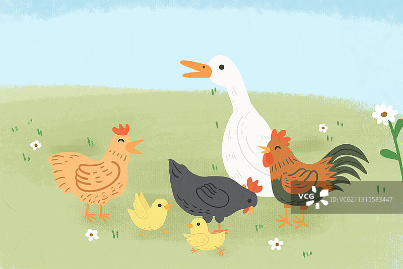 鸡鸭鹅成群的清新小插画图片素材
