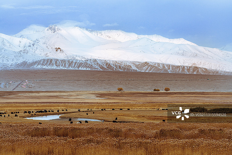 新疆维吾尔自治区喀什地区塔什库尔干塔吉克自治县雪山草地图片素材