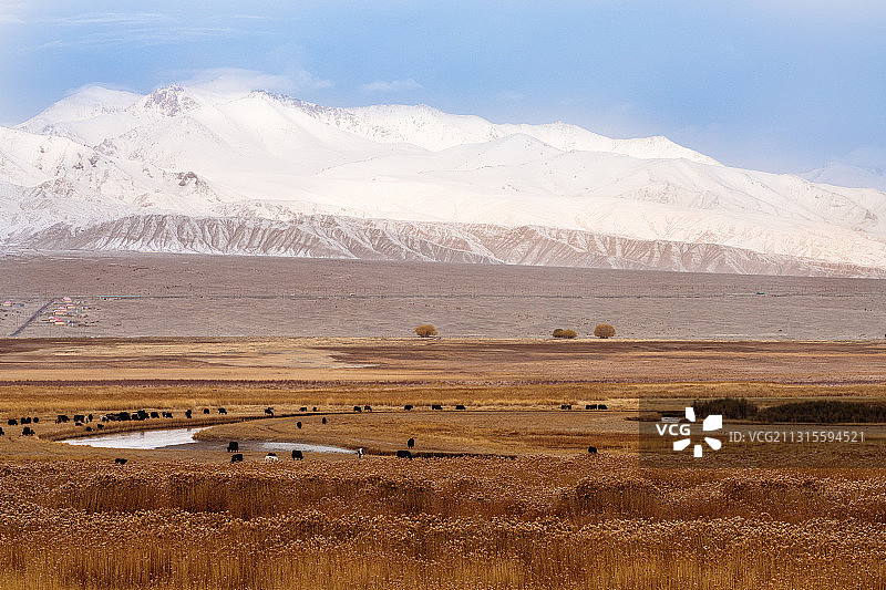 新疆维吾尔自治区喀什地区塔什库尔干塔吉克自治县雪山草地图片素材