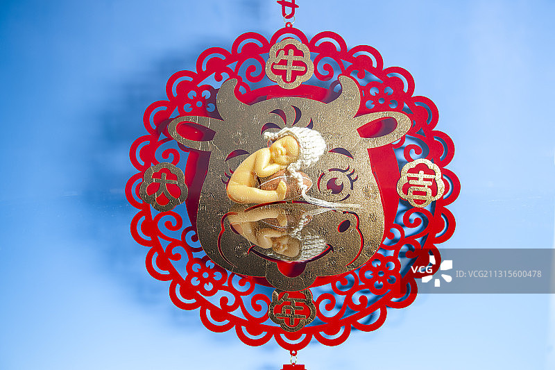 牛宝宝图片素材