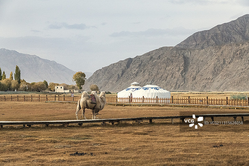 新疆喀什地区塔什库尔干塔吉克自治县帕米尔旅游景区金草滩图片素材