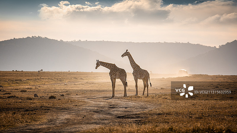 在路上图片素材