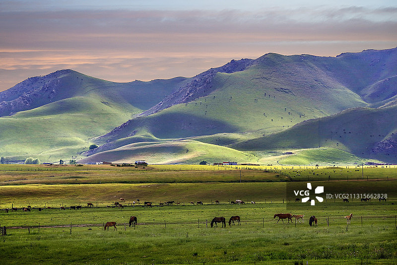新疆南山牧场图片素材