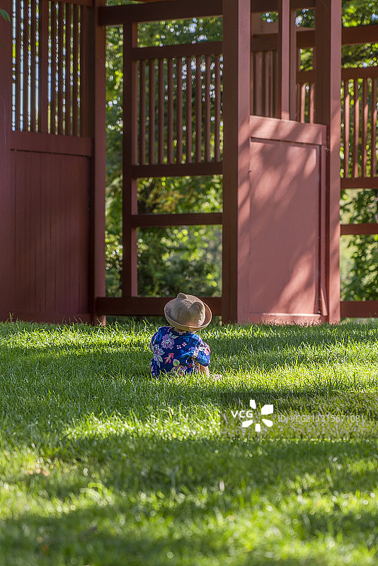 蹲在红亭子前草坪上的图片素材