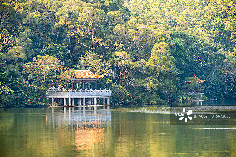 广东省深圳市罗湖区仙湖植物园自然风光观景台图片素材