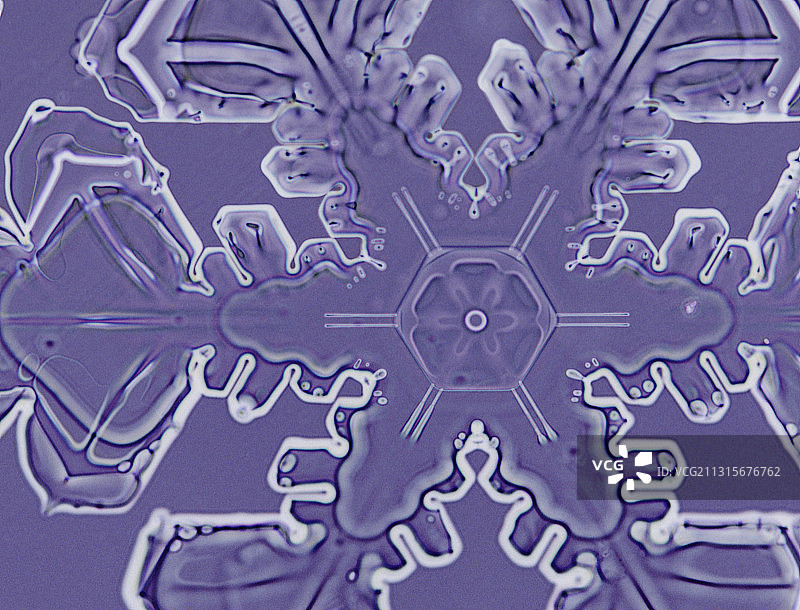 树枝状雪花图片素材