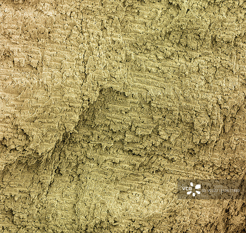 猛犸象牙，扫描电镜图图片素材