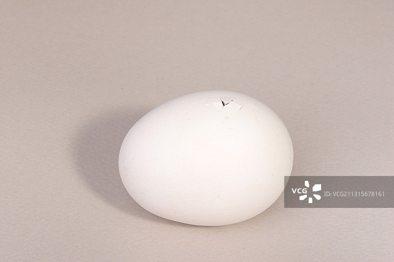 正在孵化的小鸡：2/22图片素材