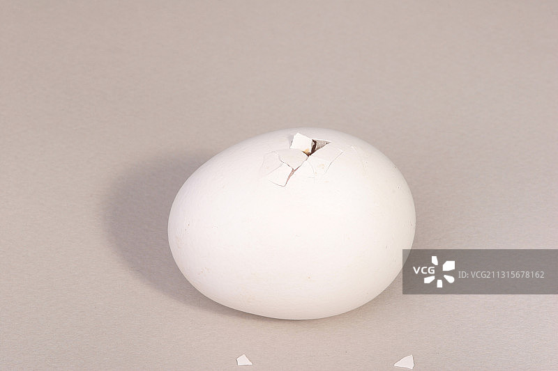 小鸡孵化过程：3/22图片素材