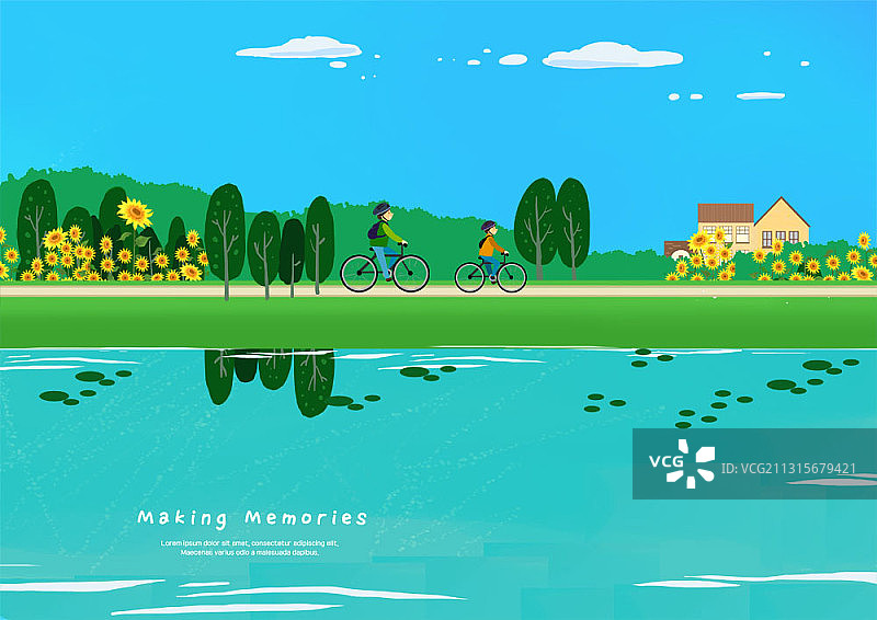 父子在湖边和向日葵旁骑自行车插图图片素材