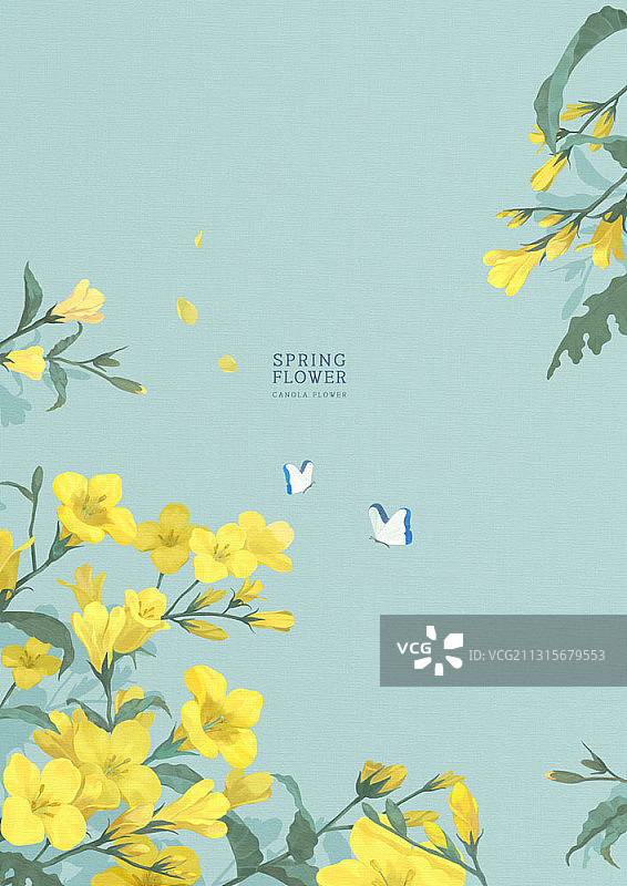 粉绿色背景上的油菜花和蝴蝶插画图片素材