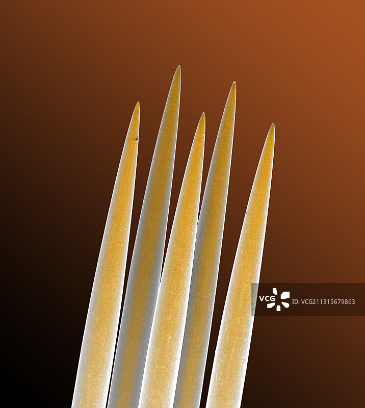 纹身针图片素材