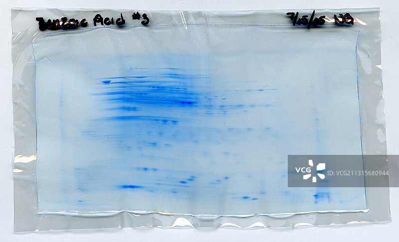 二维电泳图片素材