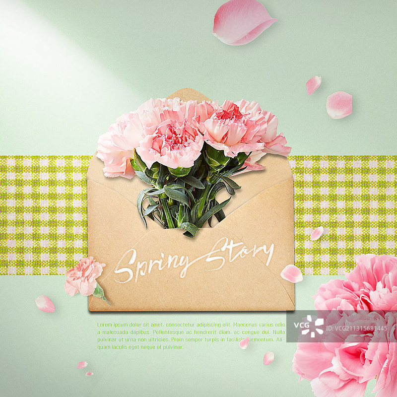信封上的康乃馨图片素材