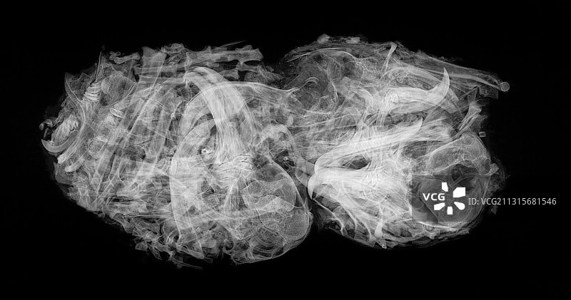 猫头鹰食丸图片素材