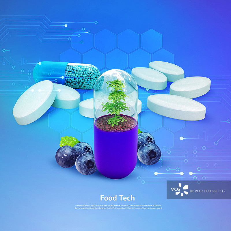 药丸中生长的蓝莓植物图片素材