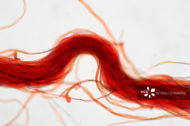 人造丝纤维图片素材