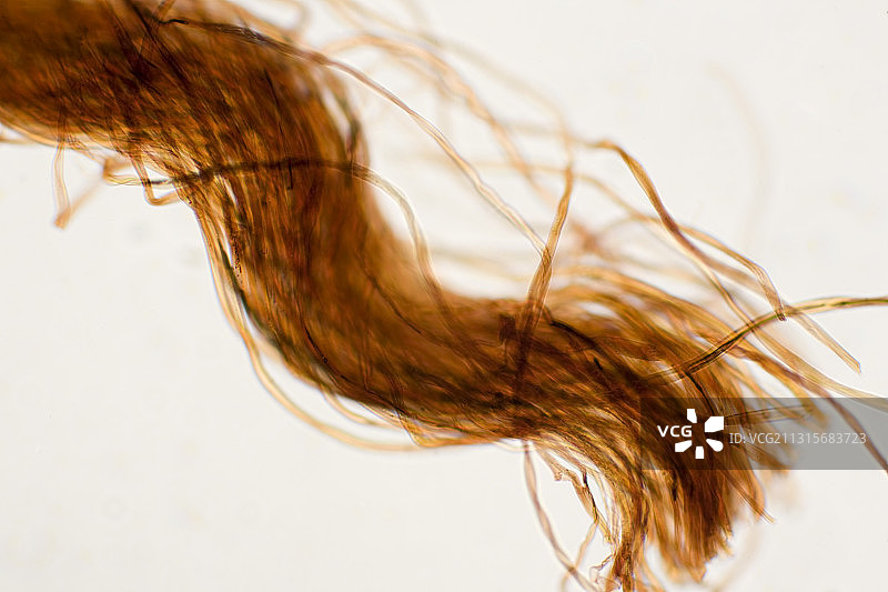 染色羊毛图片素材