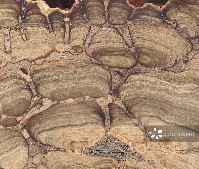 叠层石化石图片素材