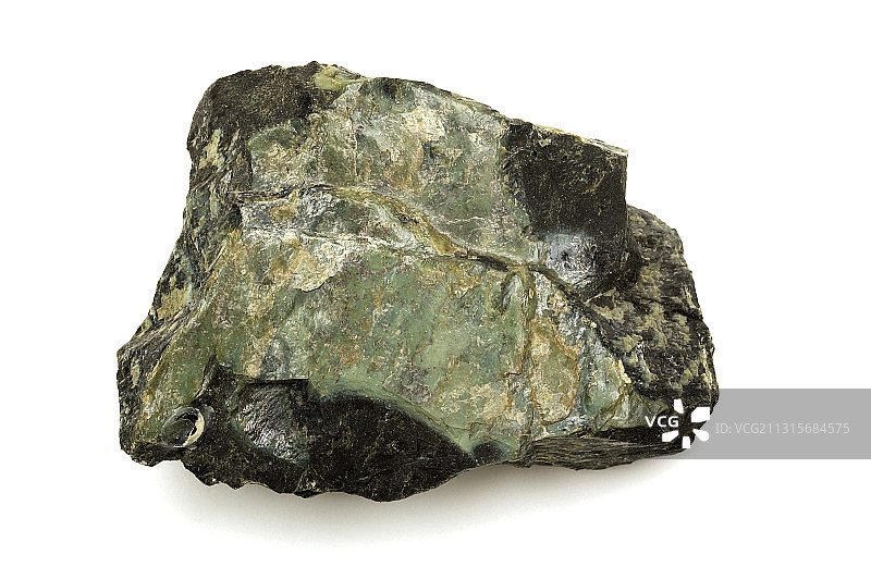 蛇纹图案图片素材