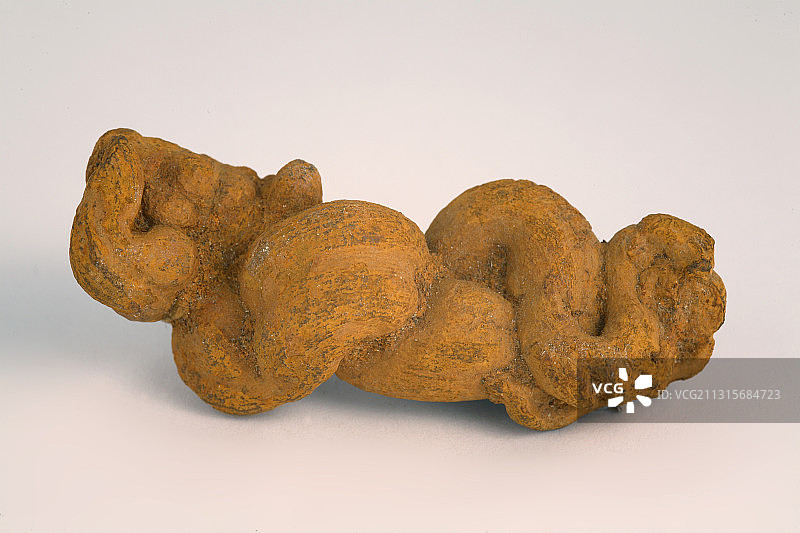 粪化石图片素材