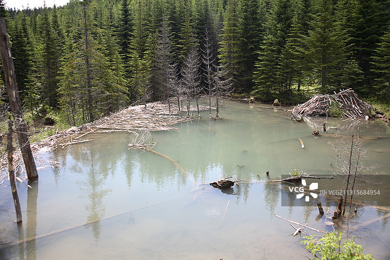 水坝和木屋图片素材