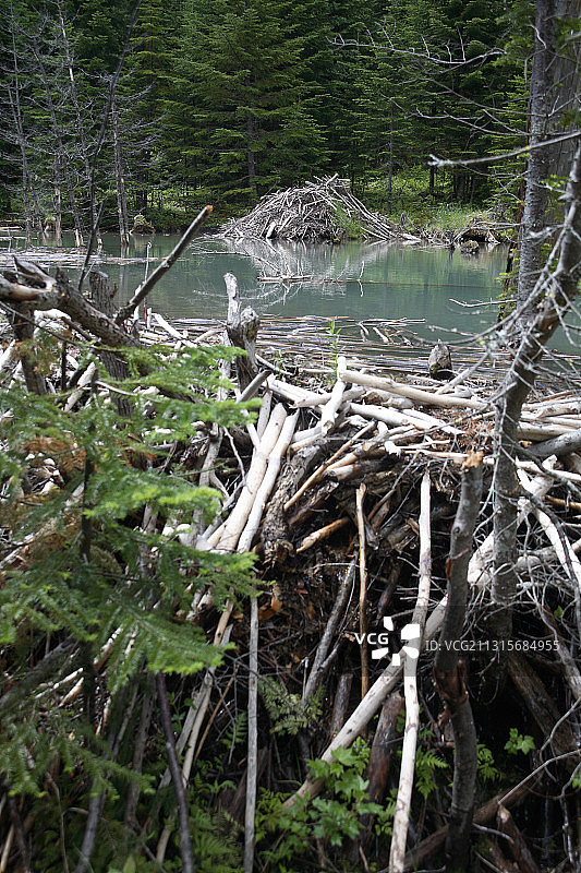 水坝和木屋图片素材